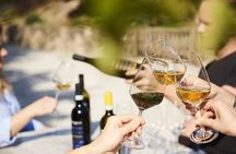 Discover the Euganean Hills Wine and Traditional Flavors