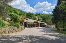 Discover the Euganean Hills Wine and Traditional Flavors