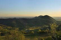 Discover the Euganean Hills Wine and Traditional Flavors