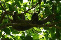 Hike in Corcovado National Park 