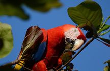 Hike in Corcovado National Park 