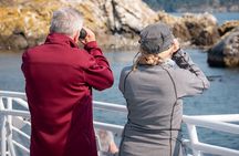 Guaranteed Whale Watch Tour from Anacortes