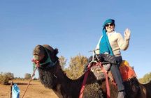 10 Day Morocco Tour Casablanca, Imperial Cities and Sahara Desert