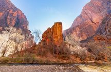 Zion National Park by Tour Trekker