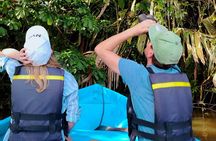 3-Hour National Park Canoe Tour 