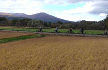 Mt. Iwate Panorama Cycling Tour: Culture and Scenic Views