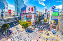Anywhere you like! Tokyo Customized Tour in 3 hours