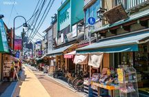 Anywhere you like! Tokyo Customized Tour in 3 hours