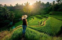 Ubud Private Tour – Waterfalls, Jungle Swing, Rice Terrace & More