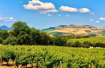 Ronda Wine Tasting with Tapas in a Scenic Vineyard