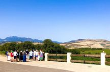 Ronda Wine Tasting with Tapas in a Scenic Vineyard