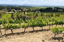 Corbières & Lagrasse Full-Day | Abbey & Village Culture