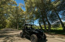 Buggy Safari From Georgioupolis Area