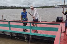 Shared Tour Amazonian Natural Beauty in Manaus