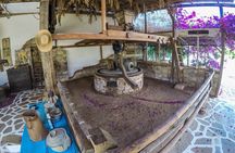 Traditional Olive Oil Making at Spiridi Olive Oil Farm - Crete
