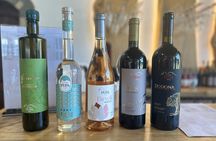 Pupa Wine Tasting Tour and Vineyard Exploration 