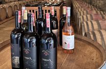 Pupa Wine Tasting Tour and Vineyard Exploration 