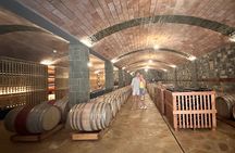 Pupa Wine Tasting Tour and Vineyard Exploration 