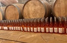Pupa Wine Tasting Tour and Vineyard Exploration 