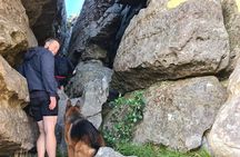 Cape Town: Table Mountain Hiking Tour With Pro Guide 