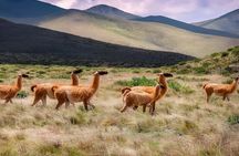From Salta: Full-Day Tour to Humahuaca, Purmamarca and Tilcara