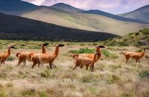 From Jujuy: Full Day Tour to Humahuaca Purmamarca and Tilcara