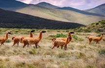 From Jujuy: Serranías del Hornocal and the hill of 14 colors