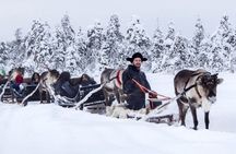Reindeer Safari at a 200-Year-Old Rovaniemi Farm & Long Sled Ride