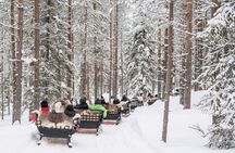 Reindeer Safari at a 200-Year-Old Rovaniemi Farm & Long Sled Ride