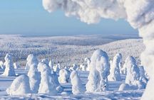 Rovaniemi: Riisitunturi Full-Day Wilderness Adventure & BBQ