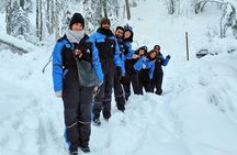 Rovaniemi: Riisitunturi Full-Day Wilderness Adventure & BBQ