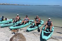 Private Clearwater Beach Kayak Tour & Island Adventure