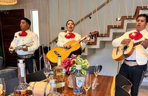 Experience of Tequila and Mezcal 