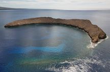 Molokini Crater and Turtle Town Snorkeling From Kihei