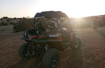Buggy adventure and tea with Nomade and Gaots in trees + Transfer