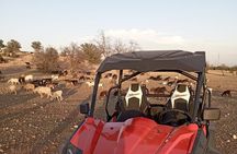 Buggy adventure and tea with Nomade and Gaots in trees + Transfer
