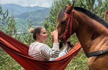 100-Year-Old family-run Finca: Horseback Riding & More