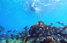 Roatan Zipline And Snorkel Adventure 