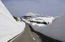 Volcanic Wonders & Scenic Trails