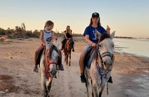 Crossing the Lagoon DE Djerba on Horseback an unforgettable breakaway