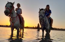 Crossing the Lagoon DE Djerba on Horseback an unforgettable breakaway