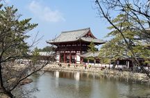Kyoto Day Tour from Osaka in English 