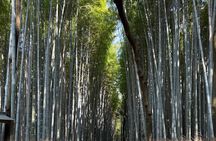 Kyoto Day Tour from Osaka in English 