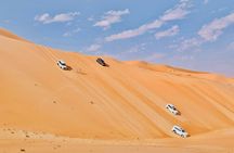 Liwa Full Day Desert Safari Tour with Thrills & Tranquility