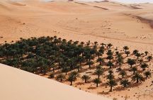 Liwa Full Day Desert Safari Tour with Thrills & Tranquility