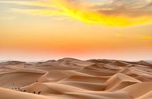Liwa Full Day Desert Safari Tour with Thrills & Tranquility