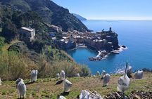 Lemon tour in Vernazza with tasting of our limoncino and wine