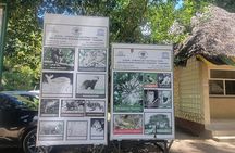 Jozani Forest Kuza Cave Paje Beach and the Rock Restaurant 