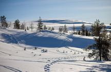 Private: Snowshoeing Safari in spectacular National Park