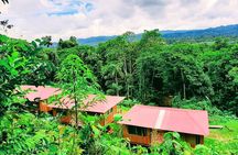 Manu jungle tours from Cusco (2 days).